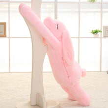 Load image into Gallery viewer, Lovable Long Bunnies
